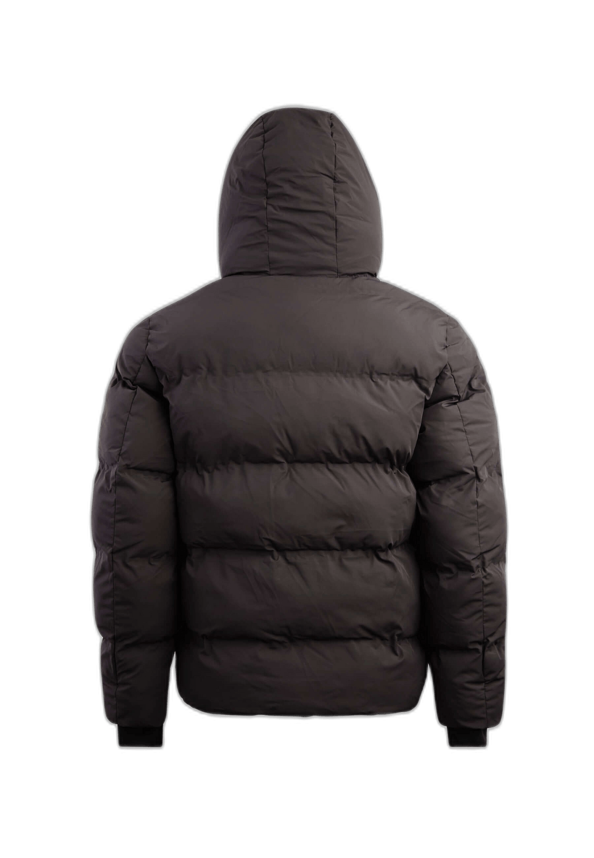 Back view of a mens puffer jacket in dark color, featuring a hood and quilted design for warm winter wear.