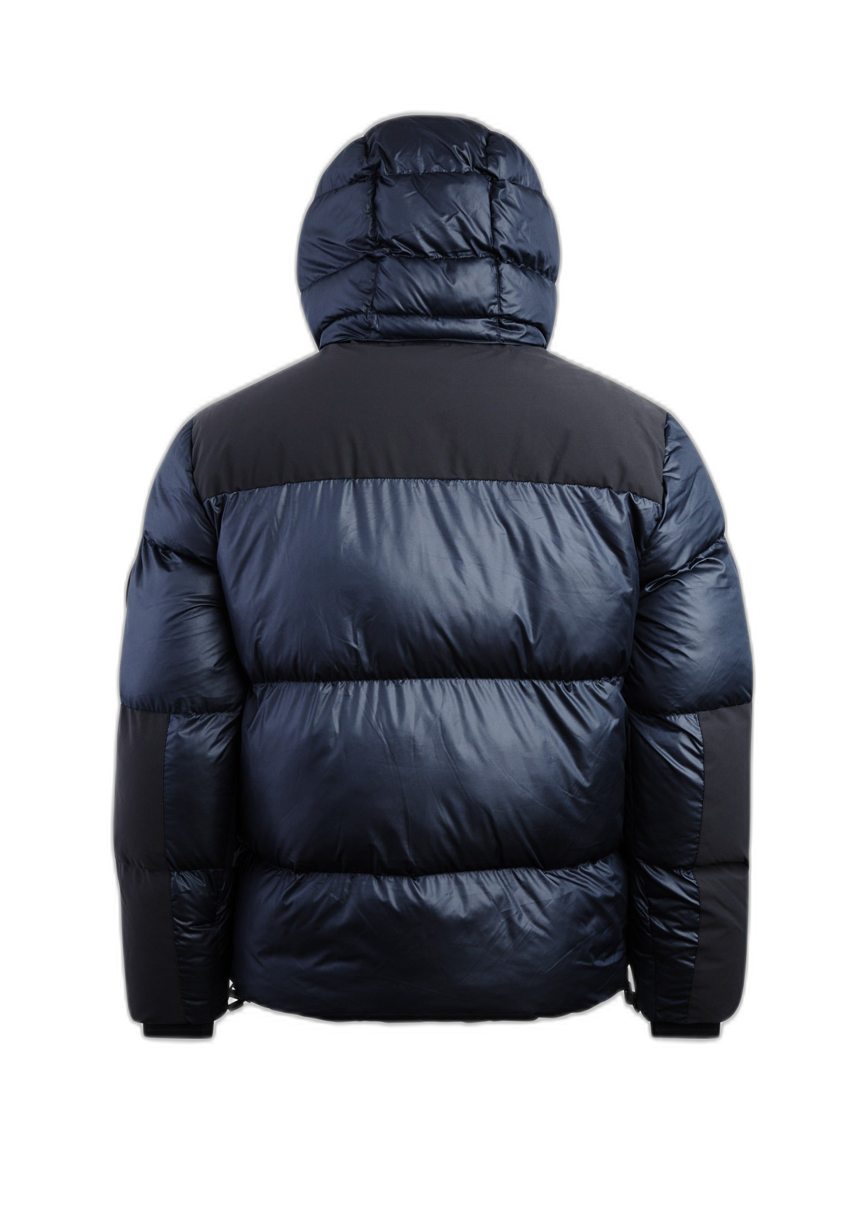Expedition Parka Navy flat lay back cutout